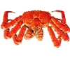 Russian snow red king crab meat shell