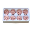 Cheaper high quality fresh preserved fresh flower carnation