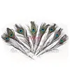 Hot sale Wholesale fashion Beautiful natural peacock feathers for decoration