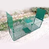 /product-detail/double-door-entry-collapsible-animal-trap-cage-possum-cat-folding-live-animal-cage-trap-62066820704.html