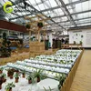 /product-detail/large-size-venlo-type-roof-cheapest-glass-greehouse-for-agricultural-60830441635.html