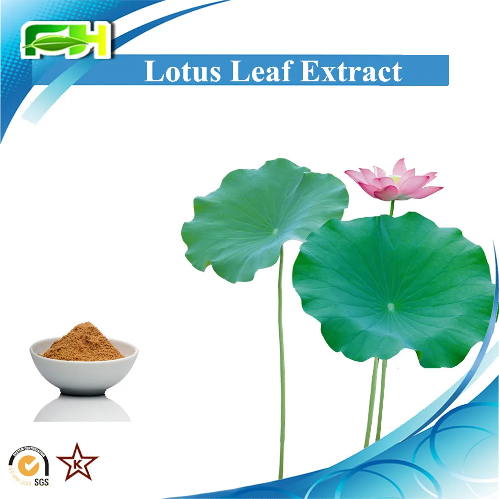 e. lotus leaf plant extract