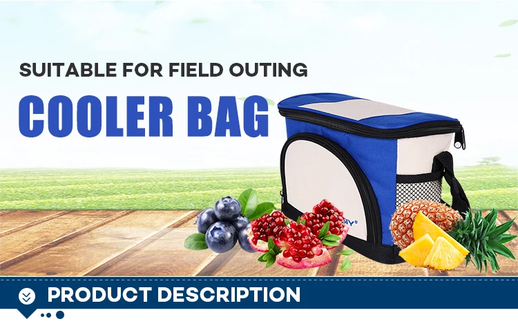 Eco-friendly Reusable non woven lunch bag, Customized logo printed folding grocery tote food delivery insulated cooler bag