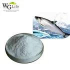 Food Protein Powder Powderprotein China Manufacturer Food Grade Collagen Protein Hydrolyzed Powder