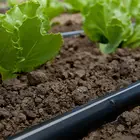 Drip Line With Round Inner Dripper for Agricultural Farm irrigation system