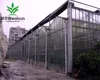 /product-detail/high-teach-large-hydroponics-industrial-arch-film-greenhouse-for-sale-60652282847.html