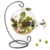 Flower Plant Coworker Gift Globe Hanging Plante