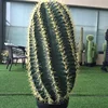 /product-detail/th-20-artificial-golden-barrel-cactus-desert-floral-succulent-plants-for-home-office-decoration-60872548884.html