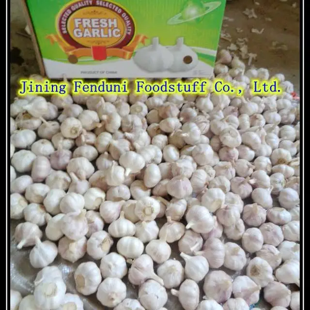 2016 Garlic Fresh/Alho fresco/Ajo fresco/Ail frais