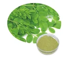 Organic Moringa Extract Bulk Moringa Powder