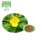 Damiana Leaf Extract For Herbal Sex Medicine / Damiana Extract Powder