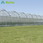 Commercial used Tropical Greenhouse Equipment