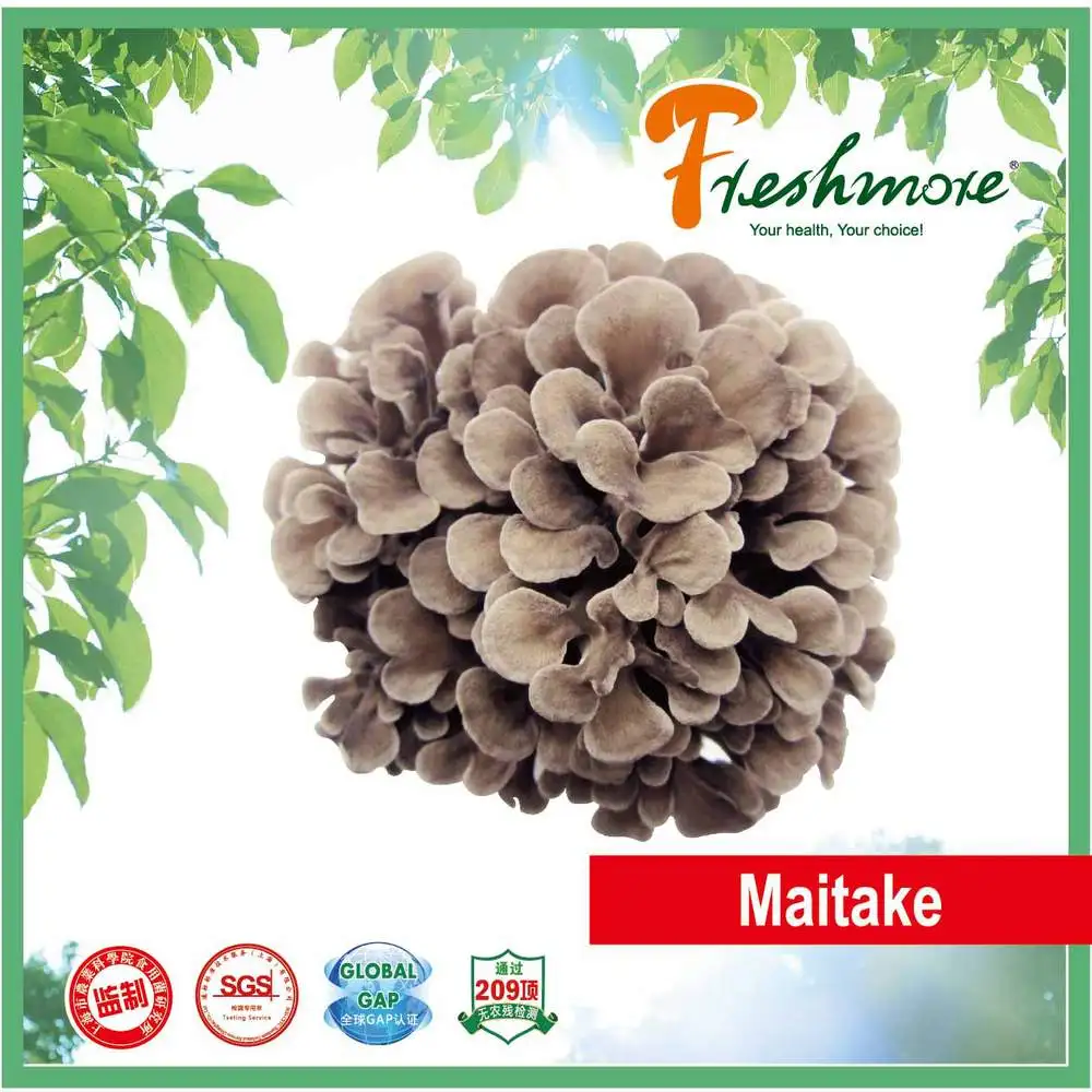 Hatake Shimeji Mushroom Buy Hatake,Hatake Mushroom,Shimeji Mushroom