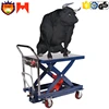 /product-detail/300kg-vertical-wheelchair-lift-outdoor-mini-scissor-lift-table-60214436908.html
