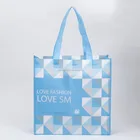 Advertisement custom non woven gift bag/non woven tote bag