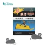 /product-detail/high-effect-rats-sticky-trap-mouse-glue-trap-boards-disposable-mouse-plate-home-pest-control-trappers-rats-insect-catcher-62059123347.html