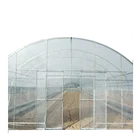 Single span hoop greenhouse tunnel for vegetables or flowers