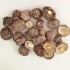 /product-detail/hot-sales-dried-shiitake-mushroom-spawn-for-sale-60482168751.html