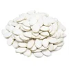 /product-detail/cheap-white-pumpkin-seeds-names-sell-pumpkin-seeds-for-sale-62008375348.html