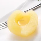 Zhenxin Canned Food Diced Apple Fruit in Syrup 880g
