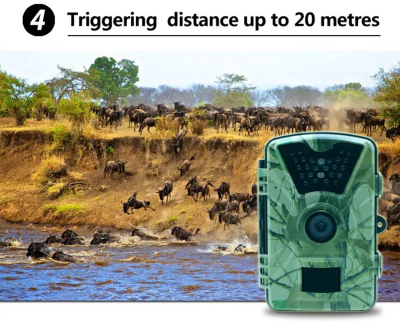 Hunting camera TC003 15.jpg