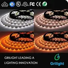 2 color led stripe ww and cw 2 color in 1 smd led flex strip light