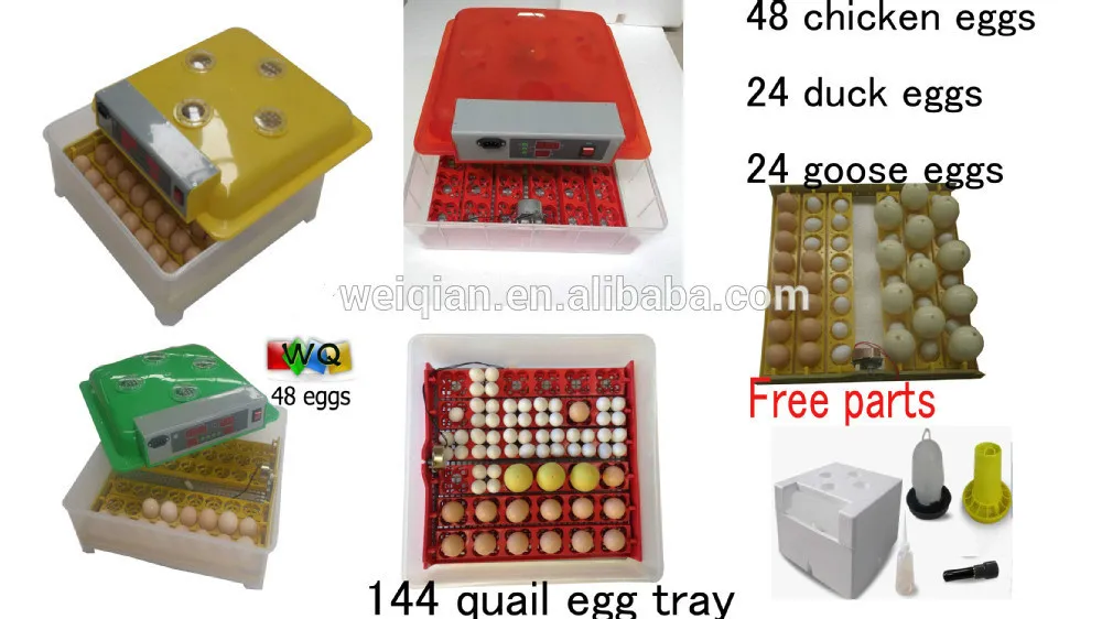 Incubator/chicken Incubator For Poultry/incubator Hatching Eggs - Buy 