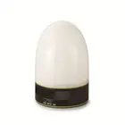 Surround system wholesale china import lantern with speaker