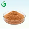 /product-detail/competitive-top-grade-organic-carrot-extract-powder-60765062245.html