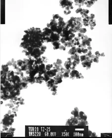 SEM primary particle size 20-30nm 2.jpg