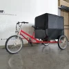ESTER Fashion Electric Cargo Delivery Trike Cargo tricycle with Roof