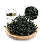 Bulk Organic Jiaogulan Gynostemma Pentaphyllum Leaf Extract Herbal Tea/Jiaogulan Extract Powder Capsules