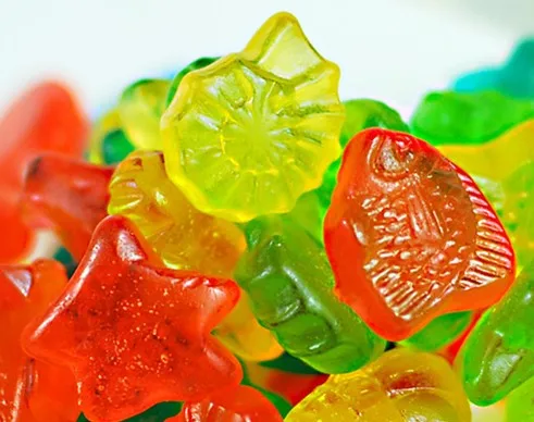 giant gummy candy maker