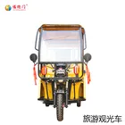 2 Seats Battery Powered Classic Electric Sightseeing car