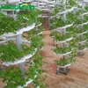 /product-detail/plastic-film-greenhouse-used-for-agricultural-products-62026754777.html