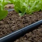 Drip irrigation system for Horticultural greenhouse