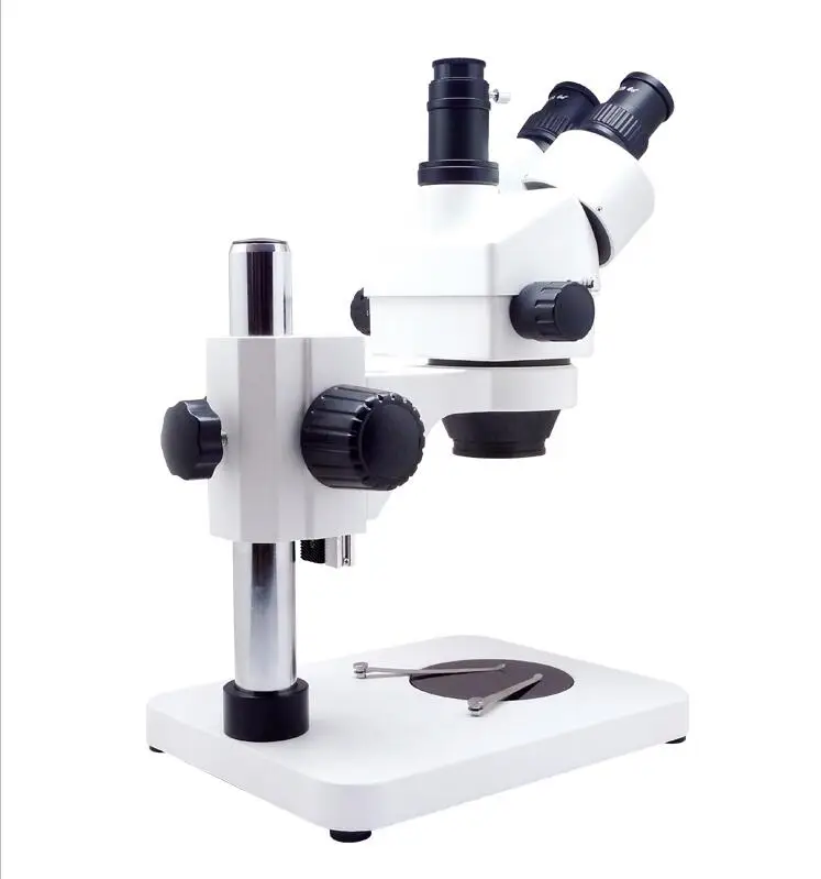 stereo microscope.jpg