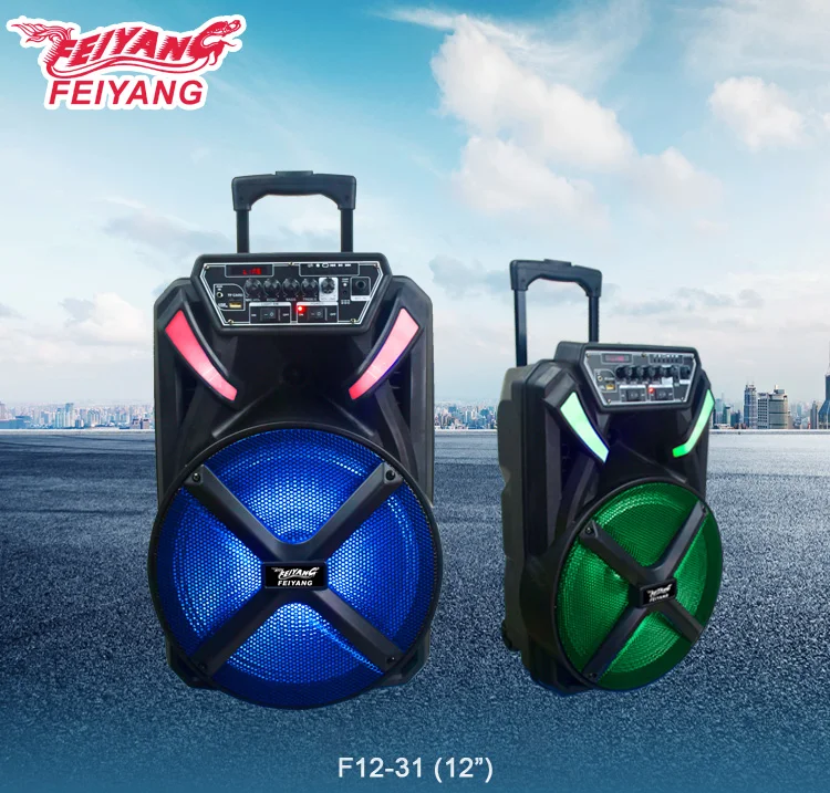 FEIYANG TEMEISHENG Newest private rechargeable trolley speaker 12inch for promotion - ANKUX.COM