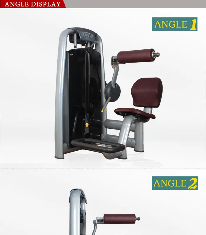 BFT-2017 Japanese Gym Equipment/ Fitness Equipment Manufacturers