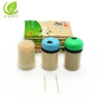 China toothpick Factory direct sale customized package with wooden toothpicks