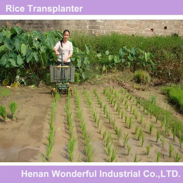 rice plant machinery