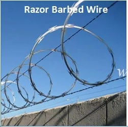 Direct Supplier Against Theft Having Stock Hot Galvanized Barbed Wire Iron Wire for Sale (Guangzhou Factory)