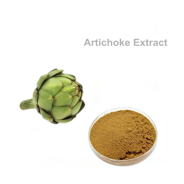 china artichoke