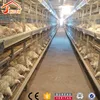/product-detail/vertical-h-type-chicken-battery-cage-free-layout-design-chicken-layer-house-automatic-poultry-farming-equipment-for-sale-60538201374.html