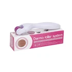 Wholesale Skin Care Facial Titanium 0.25Mm 540 Micro Needle Derma Roller System