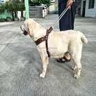 Genuine Leather Guide dog harness with luminous