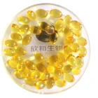 Packaging Customization Oil Capsules Care 100% Vegan Fatty Acid DHA Oil Health Capsules for Health Care Supplement