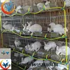 H type Wholesale Cheap Rabbit Farming cage In India For Sale
