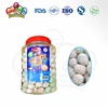 /product-detail/dinosaur-egg-bubble-gum-60306115818.html