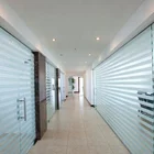 8mm 10mm electric Tempered laminated frosted glass panels for sale